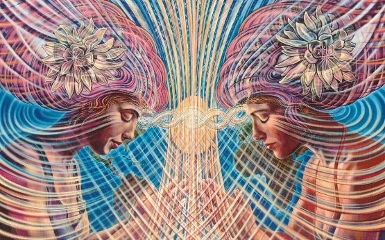 limbic-resonance-adj-small-1080x675
