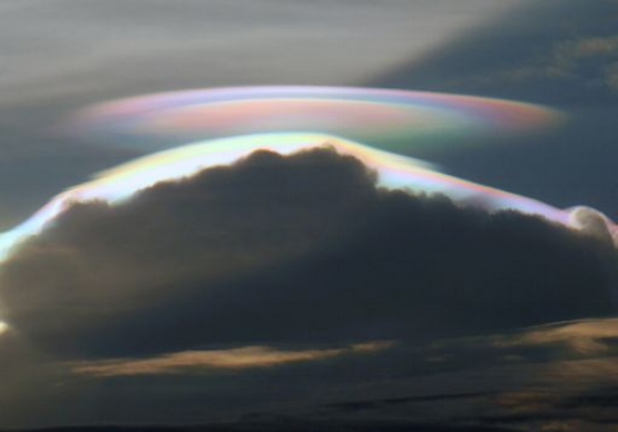 pileus_strip