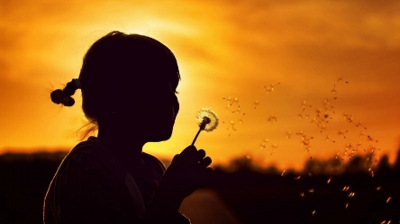make-a-wish-flower-girl-800x450.jpg