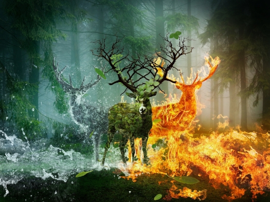 deer_fire_water_480996