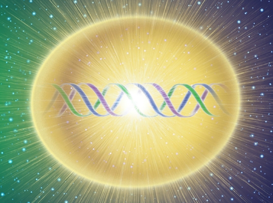 dnaimage1