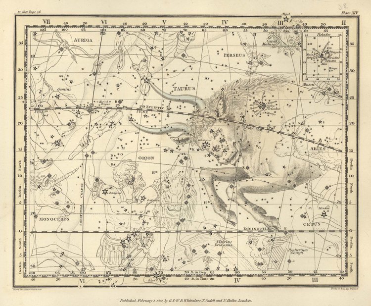 PleiadesTaurus.jpg