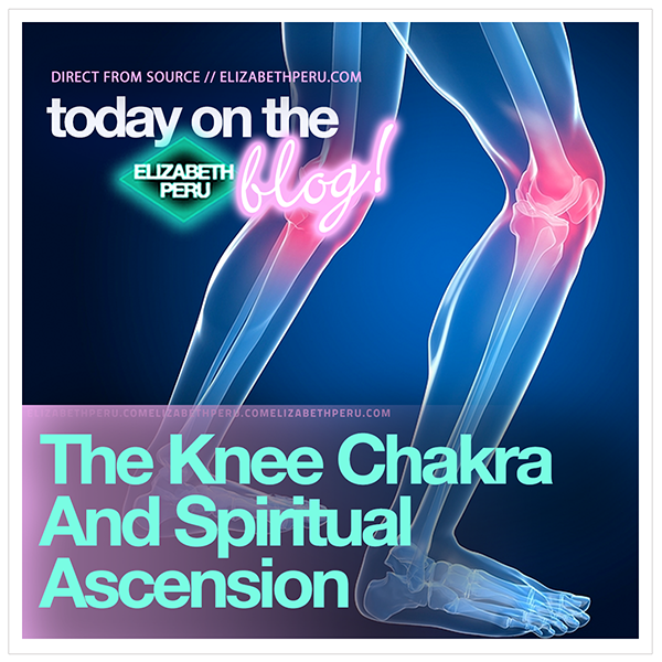 website.blog.the.knee.chakra.and.spiritual.ascension-web.png